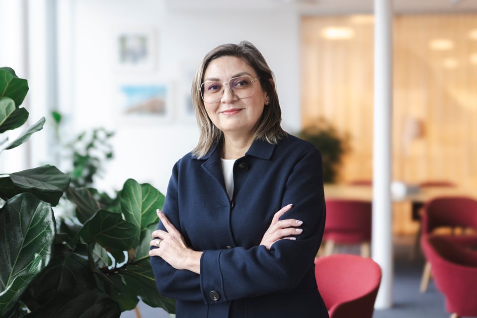 Webb_lågupplöst_18