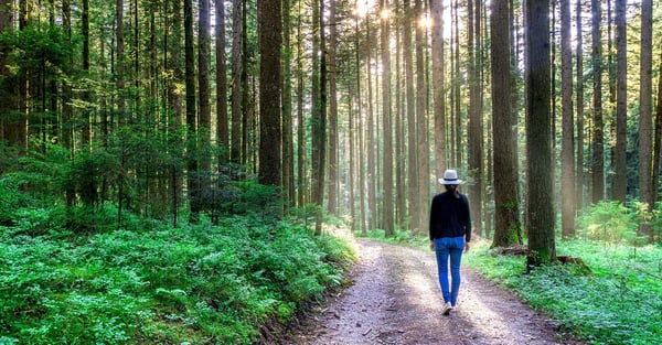 Bli ett mer hållbart företag med strategisk hållbarhetsrådgivning