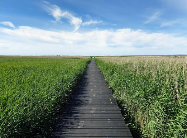 10 smultronställen att besöka i Sverige i sommar