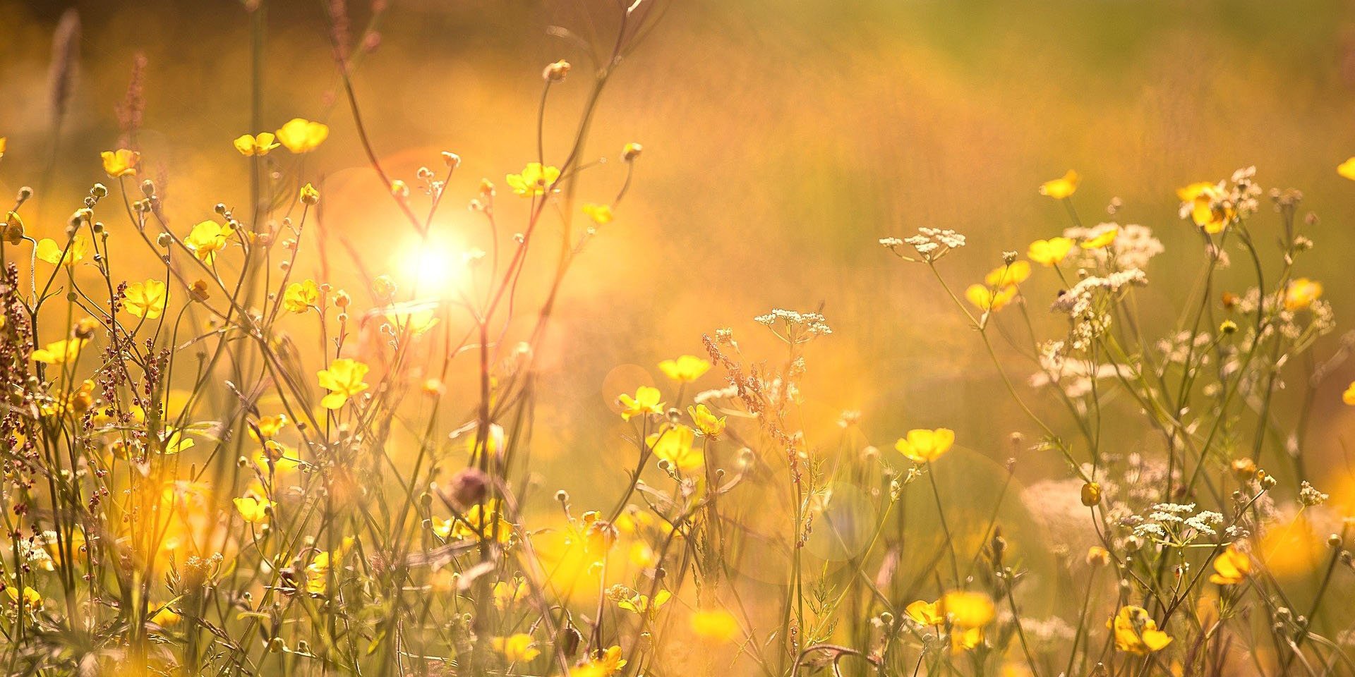 <span id="hs_cos_wrapper_name" class="hs_cos_wrapper hs_cos_wrapper_meta_field hs_cos_wrapper_type_text" style="" data-hs-cos-general-type="meta_field" data-hs-cos-type="text" >Svemester – tips för dig som tänkt stanna hemma i sommar</span>